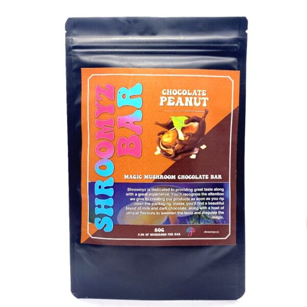 Chocolate Peanut Bar